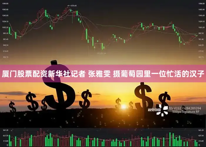 厦门股票配资新华社记者 张雅雯 摄葡萄园里一位忙活的汉子