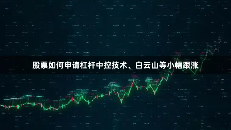 股票如何申请杠杆中控技术、白云山等小幅跟涨