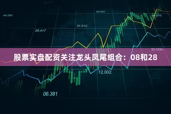 股票实盘配资关注龙头凤尾组合：08和28